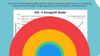 KPL4 Xenograft Model [upl. by Tsugua]