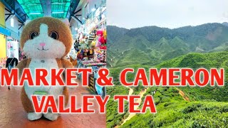 Cameron Highland Market and Tea Valley Adventures [upl. by Hillell]