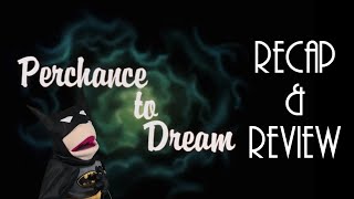 Bruce was only dreaming hes Batman  Perchance to Dream BTAS Recap amp Review [upl. by Burnight708]