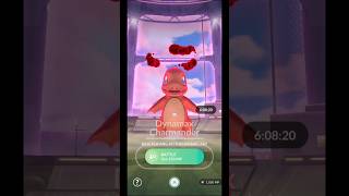 Dynamax Charmander Raid In 60 Secs  Dynamax Squirtle VS Dynamax Charmander  PokéMan pokemongo [upl. by Buote796]