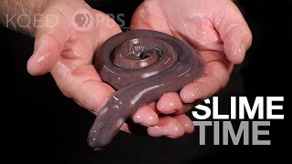 Have You Met a Hagfish It’s About Slime  Deep Look [upl. by Phillip333]