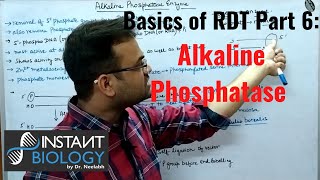 Basics of RDTAlkaline phosphatase [upl. by Ahseia]