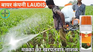 Bayer laudis herbicide with proof  Bayer laudis  laudis kharpatwar nashak  Tembotrione 42 SC [upl. by Lonnie]