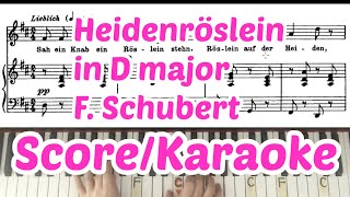 Heidenröslein in D major  Karaoke  Piano accompaniment  F Schubert [upl. by Roer]