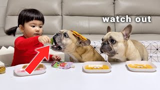 My Dogs Try Our Babys Favorite Foods CAN’T BELIEVE THIS HAPPENED [upl. by Suiluj]