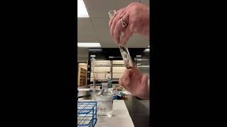 Aldehyde amp Ketone Reactions Experiment [upl. by Fancie]