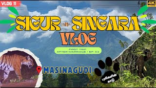 😱புலிகளின் காடு🐅MasinagudiSingara வனப்பகுதி😍  EP 02  Being Bachu  trending vlog tamil [upl. by Kerat]