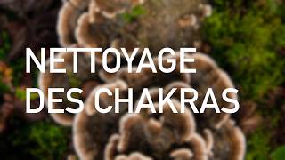 Méditation guidée  nettoyage des chakras ⟡ Ginkgo [upl. by Attennyl]