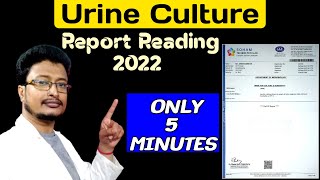 How To Read Urine Culture Report In Hindi  Urine Culture Report Kaise Padhe  2022 [upl. by Eidoow291]