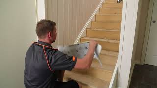 How to carpet Stairs With TensorGrip FS600 [upl. by Sky]