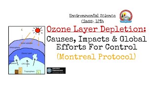 Ozone Layer DepletionCauses Impacts and Global efforts for Control Montreal protocol 12thJKBose [upl. by Reuven]