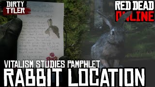 RDR2 Vitalism Studies Pamphlet Rabbit Locations Plus Harrietum Officialus Locations [upl. by Terrena]