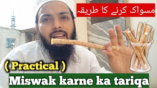 Miswak karne ka tariqa Miswak Kesa Karen  Practical  miswakkarnekatariqa Howtousemiswak [upl. by Spratt]