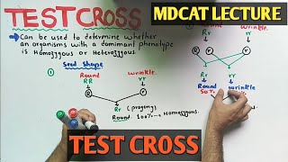 Test cross  NMDCAT 2021 [upl. by Eimiaj425]