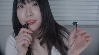 ASMR 이어폰마이크로 29분만에 잠들기 카메라터칭 인어디블 오일마사지 시각적팅글 [upl. by Dowdell]