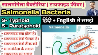 Salmonella Bacteria  Typhoid  Enteric Fever Typhoid Fever Paratyphoid Fever Widal Test in hindi [upl. by Marcellus]