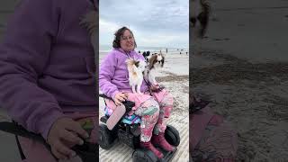 Wheelchair beach mats at Coligny Beach in Hilton Head SC [upl. by Chlo]