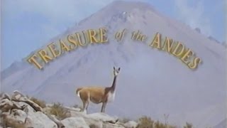 Treasure of the Andes 1993 [upl. by Annerahs298]