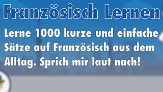 Lerne Französisch 1000 Sätze aus dem Alltag auf Französisch für Beginner [upl. by Nahoj228]