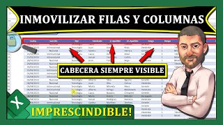 ⭐️Cómo INMOVILIZAR Filas y Columnas en Excel 🔴Trucos Curso de Excel para Principiantes [upl. by Mij]