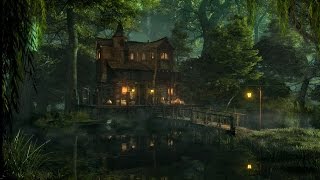 Swamp Sounds at Night  Frogs Crickets Light Rain Forest Nature Sounds [upl. by Parrnell10]