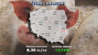 210 agro wiadomości nonstop  28032023 [upl. by Ramonda754]