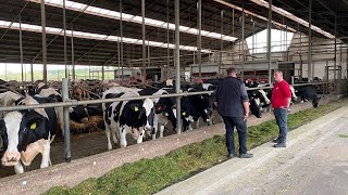 Op bezoek bij melkveebedrijf Schepens in Maarheeze  LG Seeds [upl. by Corotto]