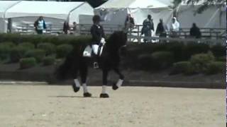 Jamie van Linn riding Tys van T Heech  Rolex 2011 [upl. by Amsirac]