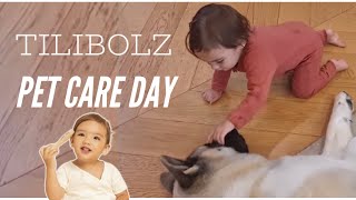 Thylane Katana pet care day  Solenn Heussaff  Nico Bolzico  daily updates [upl. by Enovi994]