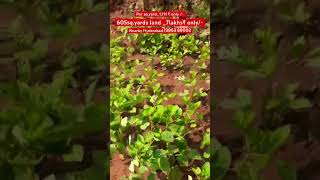 lowbudgetlands biofarming farmland farmlands farmlandsforsale farmlandsinhyderabad narayankhe [upl. by Nylakcaj878]