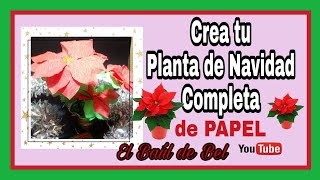 COMO HACER FLOR DE PASCUA DE PAPEL CRESPÓN o Crepe y Su macetaDIY Poinsettia de Papel [upl. by Nevag]