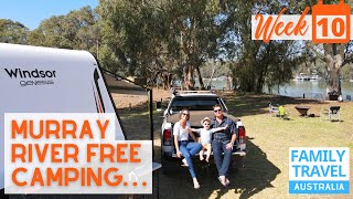 Free Camping NSW  Murray River RV Off Grid Camping [upl. by Cynthea]