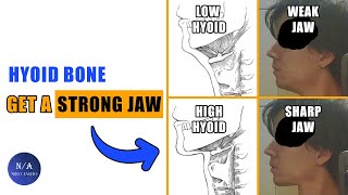 The Secret To An Attractive Jaw  Hyoid Bone blackpill [upl. by Tower970]