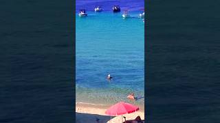 Greece Halkidiki Ammouliani island beach ⛱️🏖️🌊 beach sea island [upl. by Anstice]