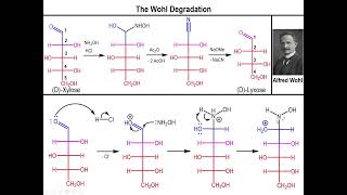 Lec10  The Wohl Degradation [upl. by Merla]