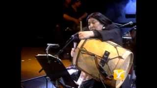 Mercedes Sosa  Un Son Para Portinari Chico amp Caetano [upl. by Sackey]