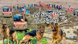 CHẠM TỚI CHIẾC CẦU BÍ ẨN CỦA LÀNG NỦ ĐỘ SÂU KINH HÃI NGHI NGỜ SẼ CÓ NHIỀU THI THỂ MẮC Ở CHÂN CẦU [upl. by Olegnad91]