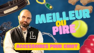 Les PIRES et les MEILLEURS accessoires pour chiot [upl. by Renick]