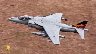 Harrier March 2010 [upl. by Novia]