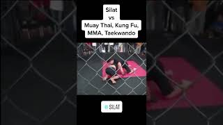 Silat vs other Martial Arts part 1 [upl. by Danas]