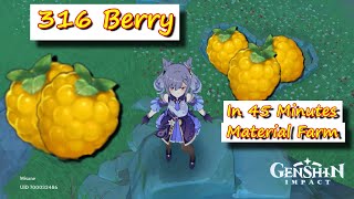 316 Berry in 45 Minutes Liyue Region  Genshin Impact  Material Farm [upl. by Elleuqar134]