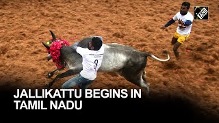 Jallikattu begins at Avaniyapuram village in Madurai [upl. by Aziar]