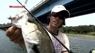 MEGABASS MOVIE 154 ONETEN Jr SW [upl. by Elreath]