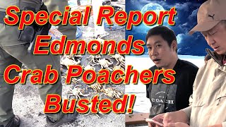 SPECIAL REPORT Edmonds Pier Poachers [upl. by Euqinemod617]