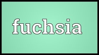 Fuchsia Meaning [upl. by Franzen32]