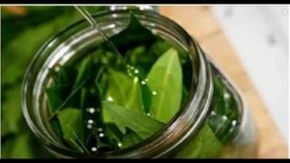 WHAT WILL HAPPEN IF YOU COMBINE OLIVE OIL AND BAY LEAVES THIS IS AMAZING [upl. by Clyte]