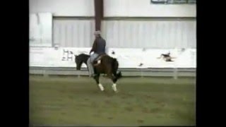 Flash Nu Cash  AQHA Reining Stallion  AT STUD [upl. by Broddy467]