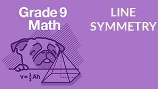 ʕ•ᴥ•ʔ Learn Line Symmetry in  57 Seconds [upl. by Wallie]