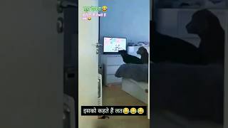 कुत्ते😂😂comedy funny trending comedyfilms comediya comedy [upl. by Anomer]