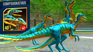 NEW LEGENDARY COMPSOGNATHUS MAX X3 LEVEL 40  JURASSIC WORLD THE GAME [upl. by Solakcin]